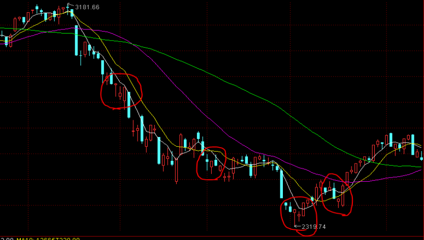 医我看丨跨境医疗很方便！香港七旬长者北上在珠海成功换膝